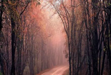 j9九游会:中沙二番战国足首发有五处变化,人仍首发.