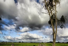 名记：罗梅罗出场60分钟是计划之内，他很快会与国家队会合.